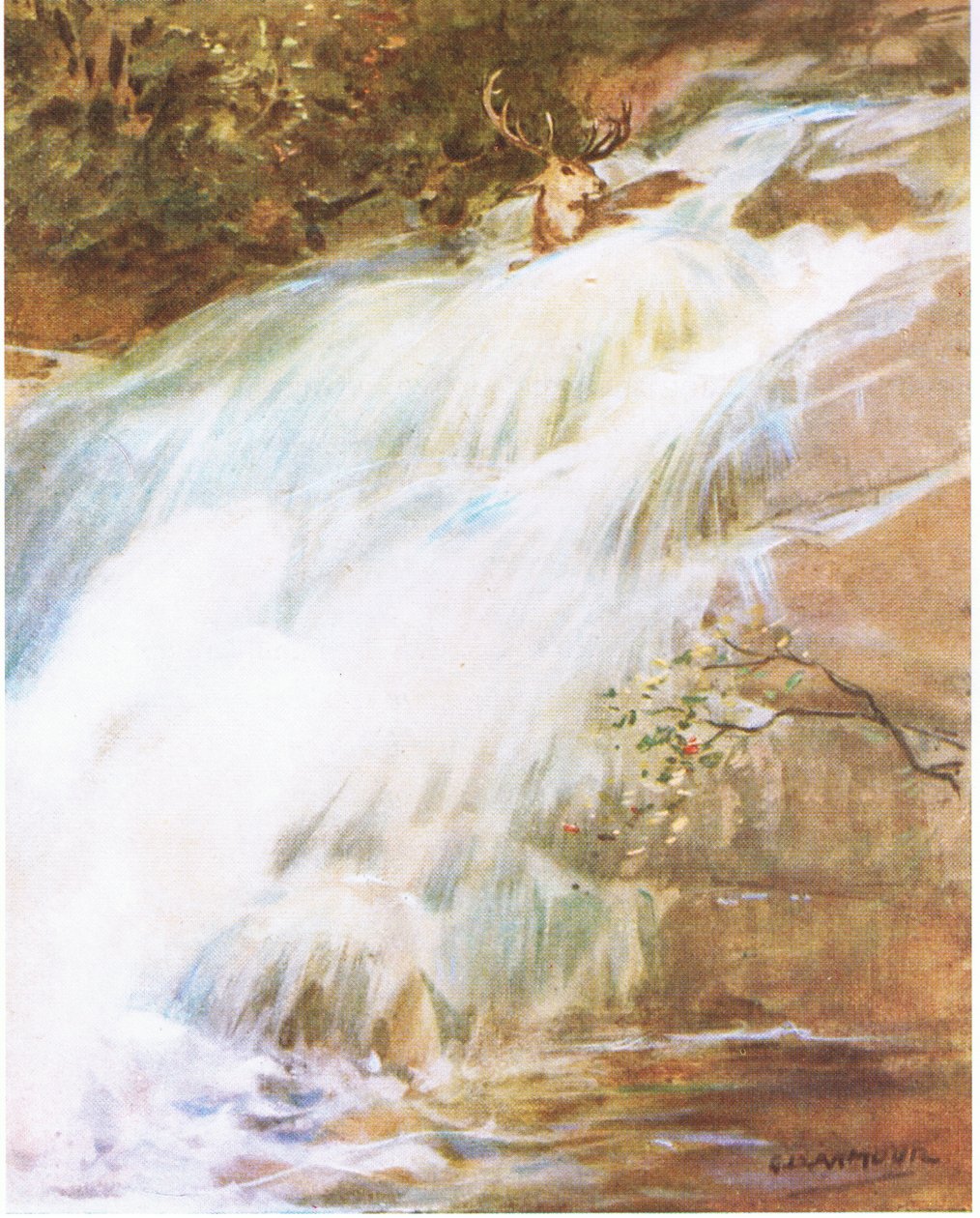 Er warf seinen Kopf hoch in die Luft in einem letzten Akt der Herausforderung und stürzte in den Wasserfall von George Denholm Armour
