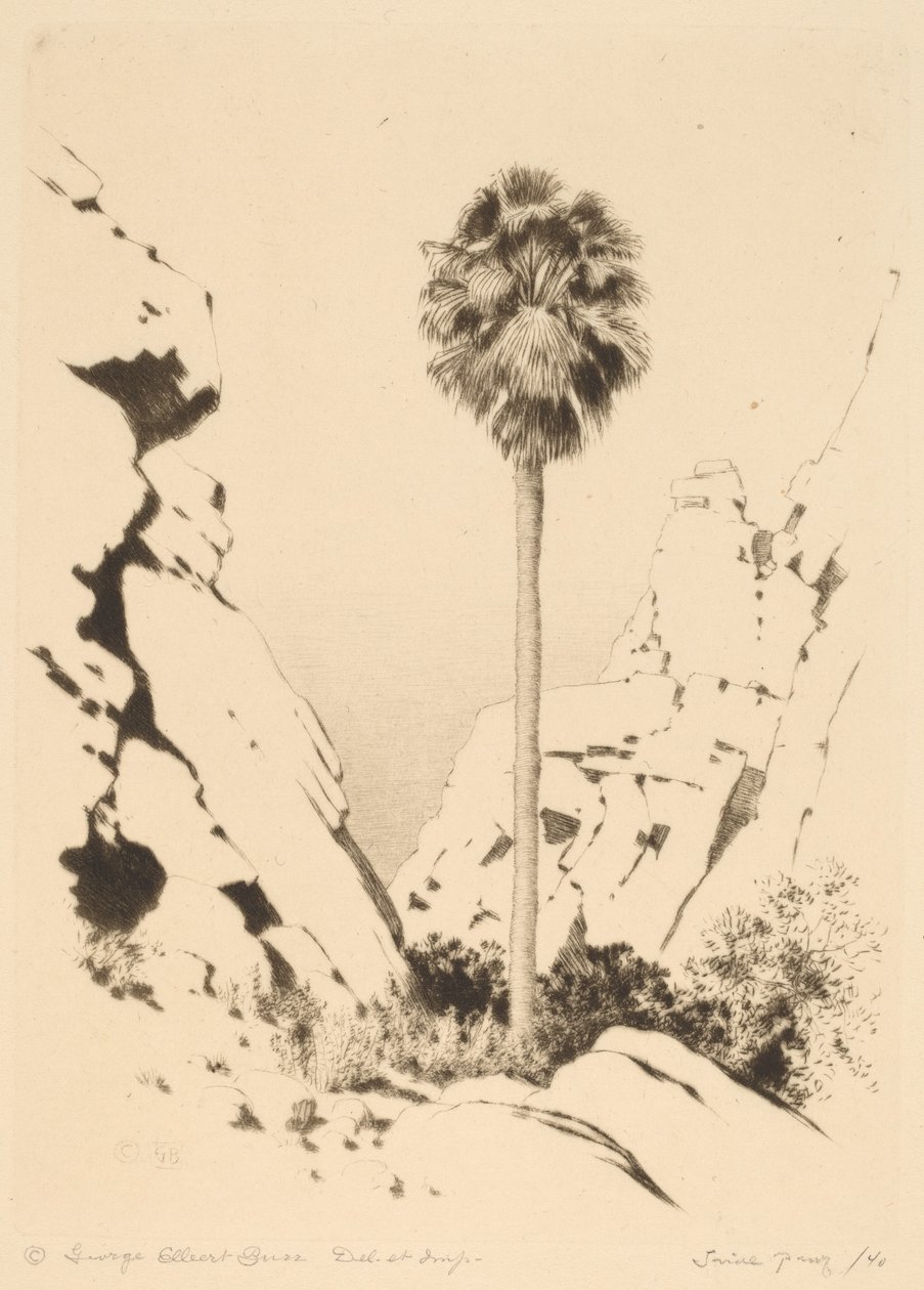 Palm Canyon (Nr. 1) von George Elbert Burr