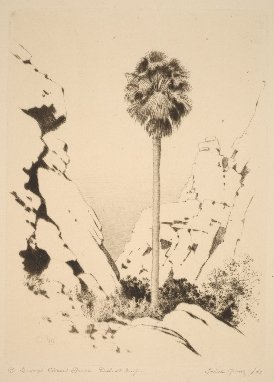 Palm Canyon (Nr. 1) von George Elbert Burr