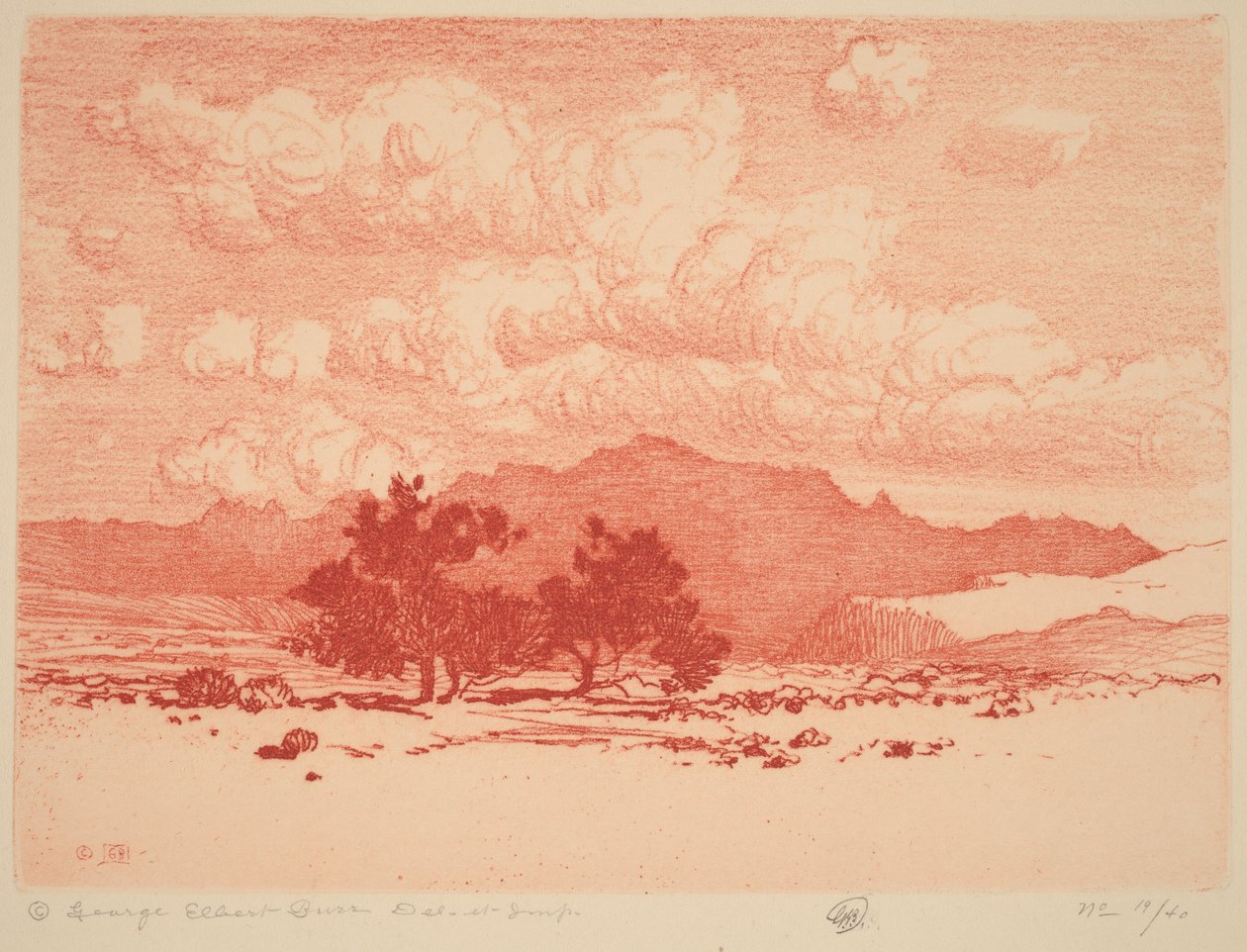 Palo Verde Bäume von George Elbert Burr