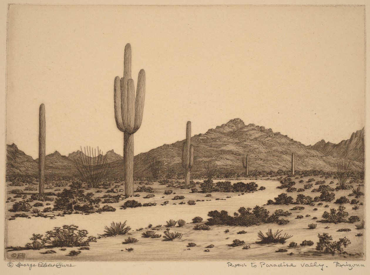 Straße zum Paradies-Tal, Arizona von George Elbert Burr