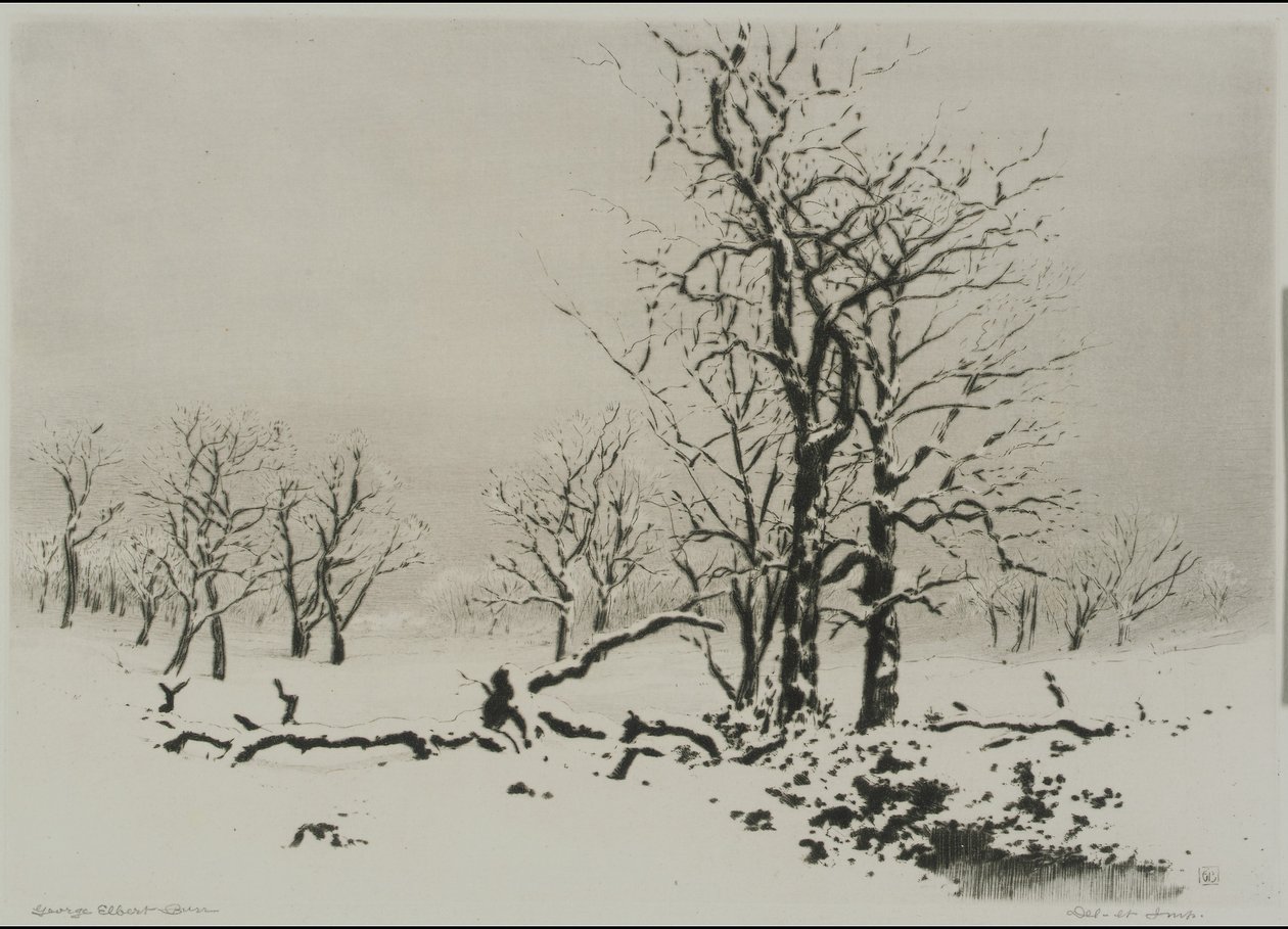 Winter (Nr. 1) von George Elbert Burr