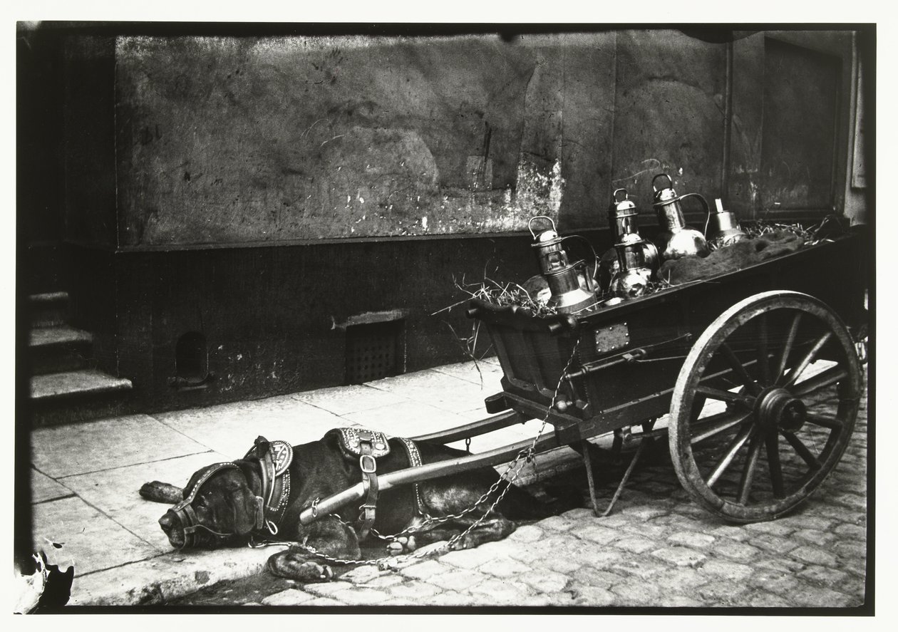 Zughund vor einem Wagen mit Fässern von George Hendrik Breitner