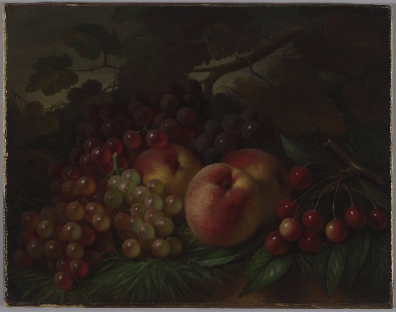 Pfirsiche, Trauben und Kirschen, ca. 1860-1870 von George Henry Hall
