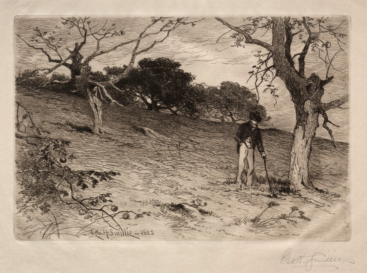 Ein alter Obstgarten in Neuengland, 1883 von George Henry Smillie