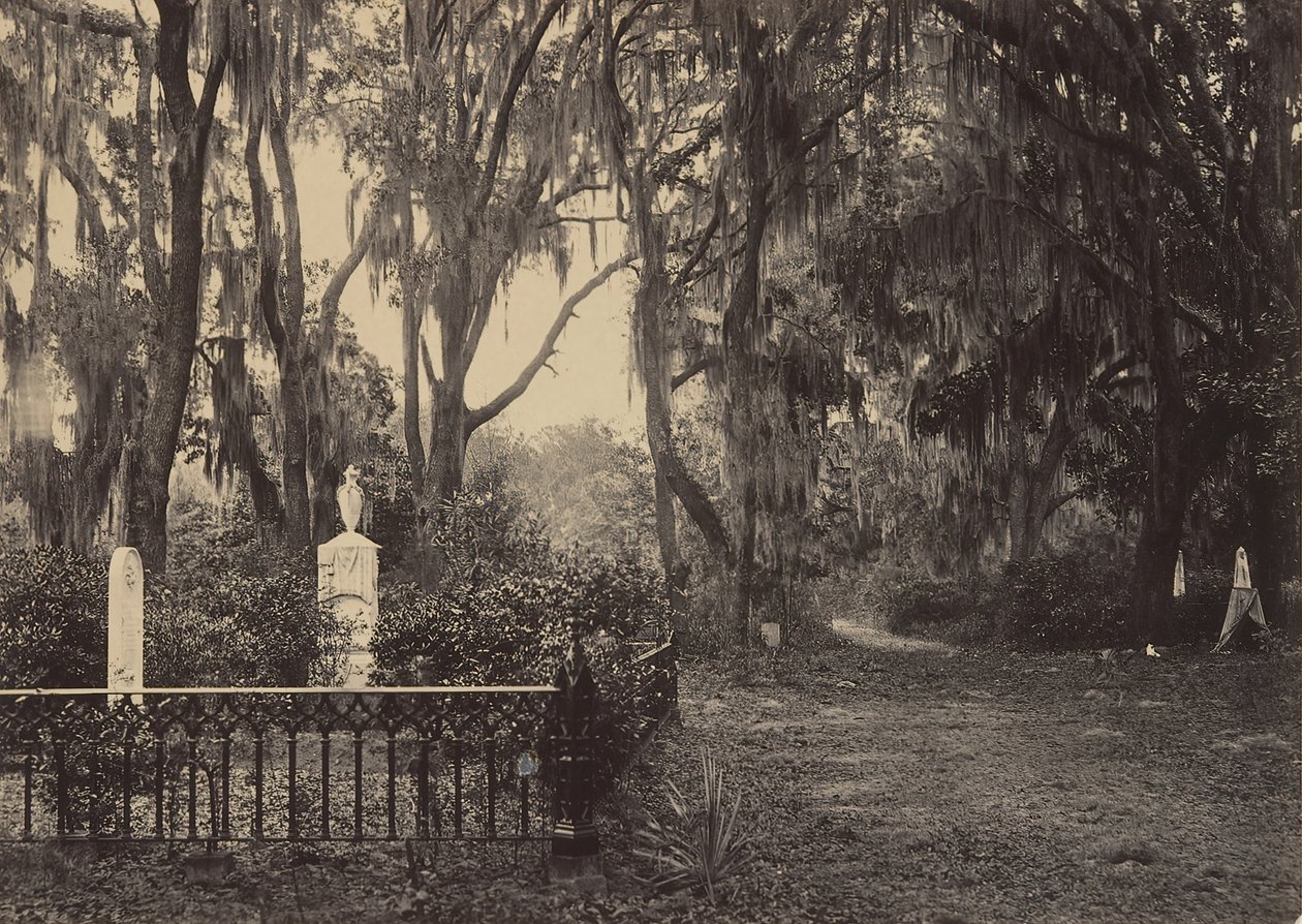 Buen-Ventura, Savannah, Georgia von George N. Barnard