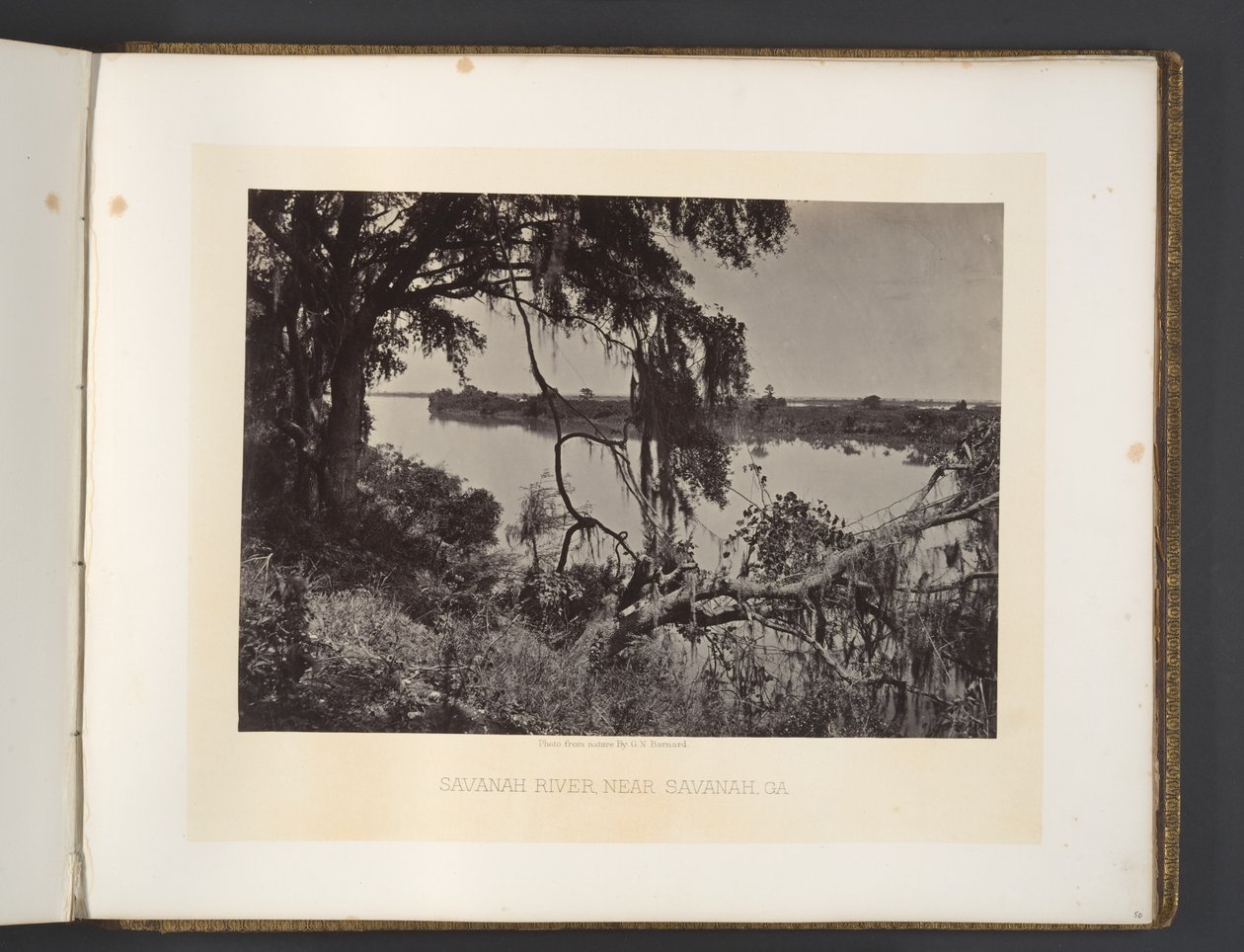 Savannah River, in der Nähe von Savannah, Georgia von George N. Barnard