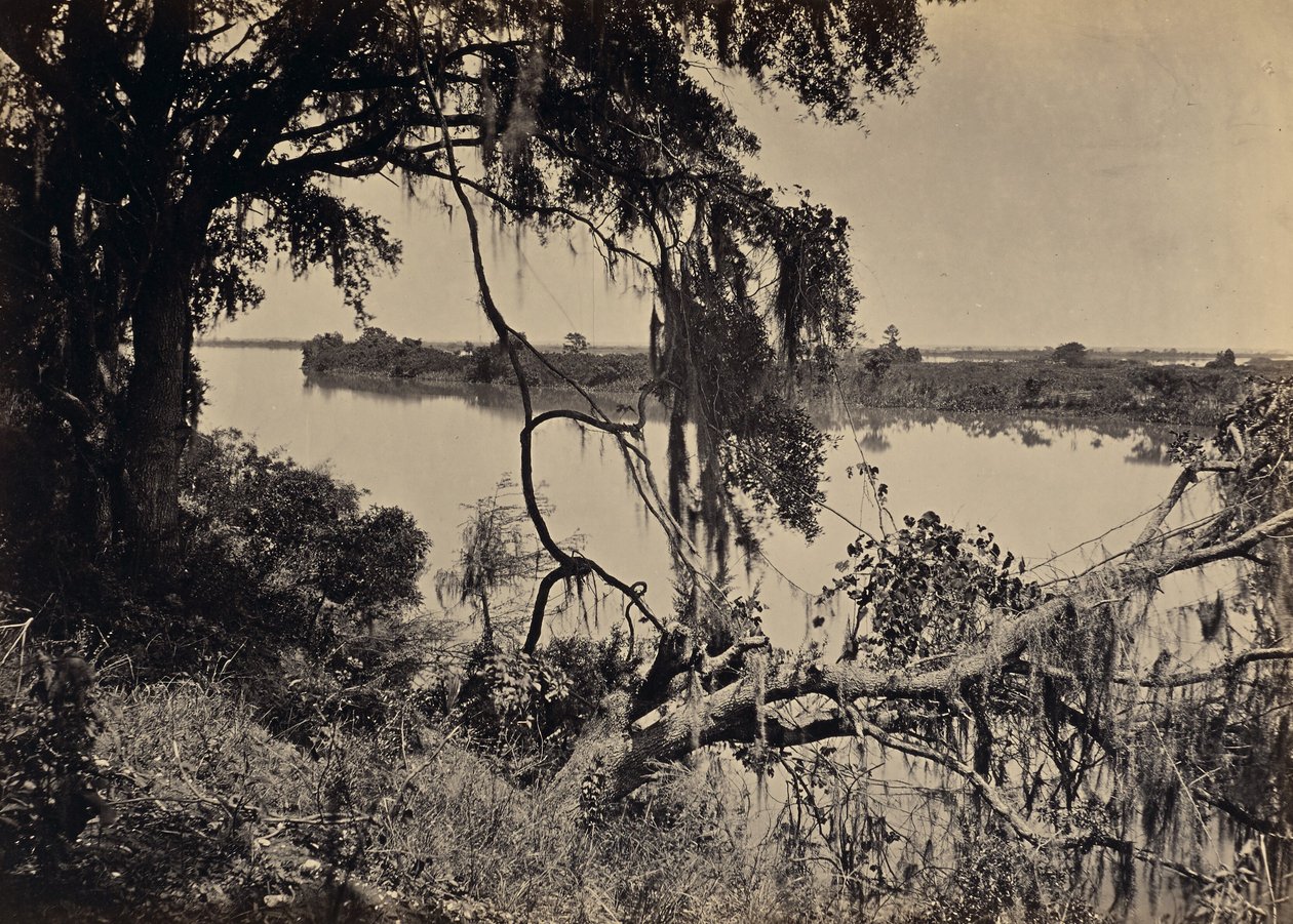 [Savannah River, in der Nähe von Savannah, Georgia] von George N. Barnard