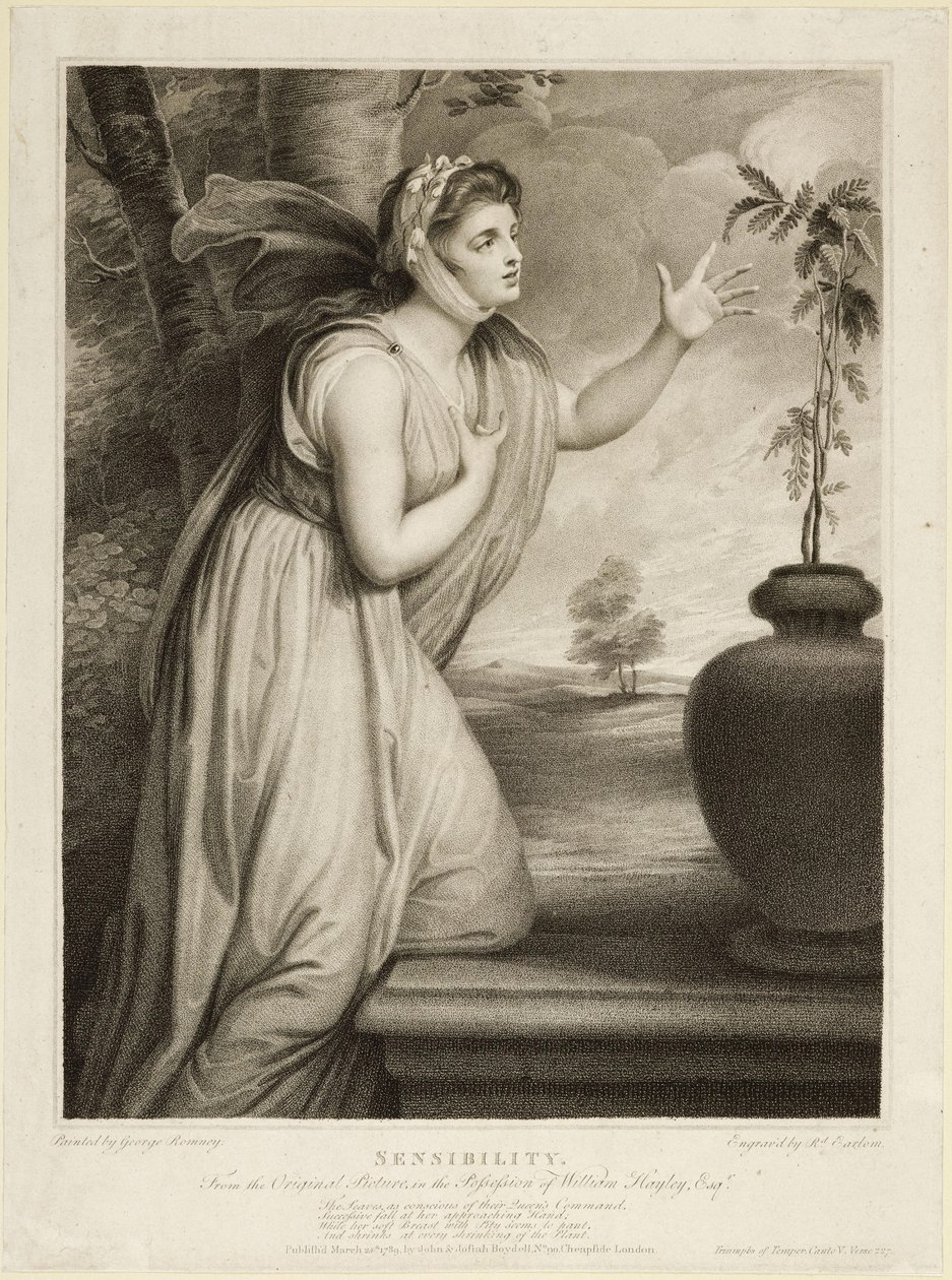 Empfindsamkeit von George Romney