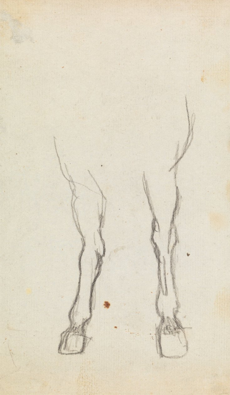 Studie der Vorderbeine eines Pferdes von George Romney