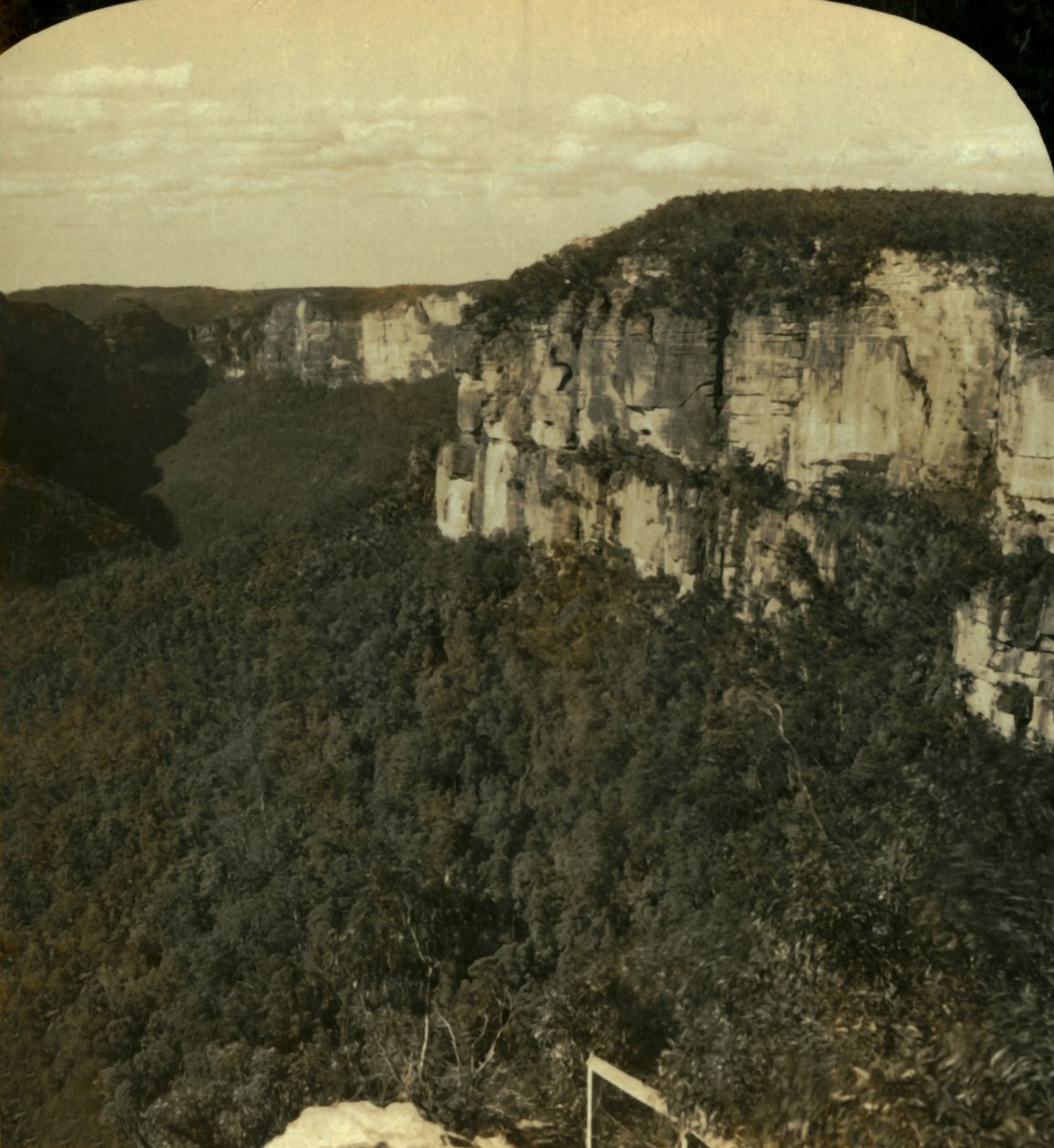 Das Grose-Tal, Blue Mountains, N.S.W., Australien, 1909 von George Rose