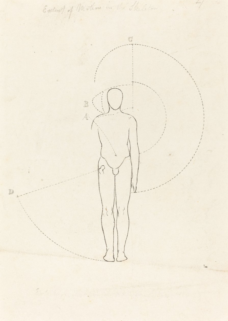 Bewegungsumfang, eine Figur von George Scharf after John Flaxman