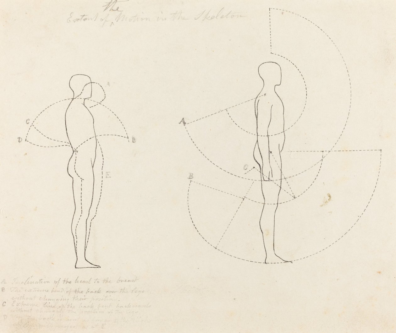 Bewegungsumfang in zwei Figuren gezeigt von George Scharf after John Flaxman