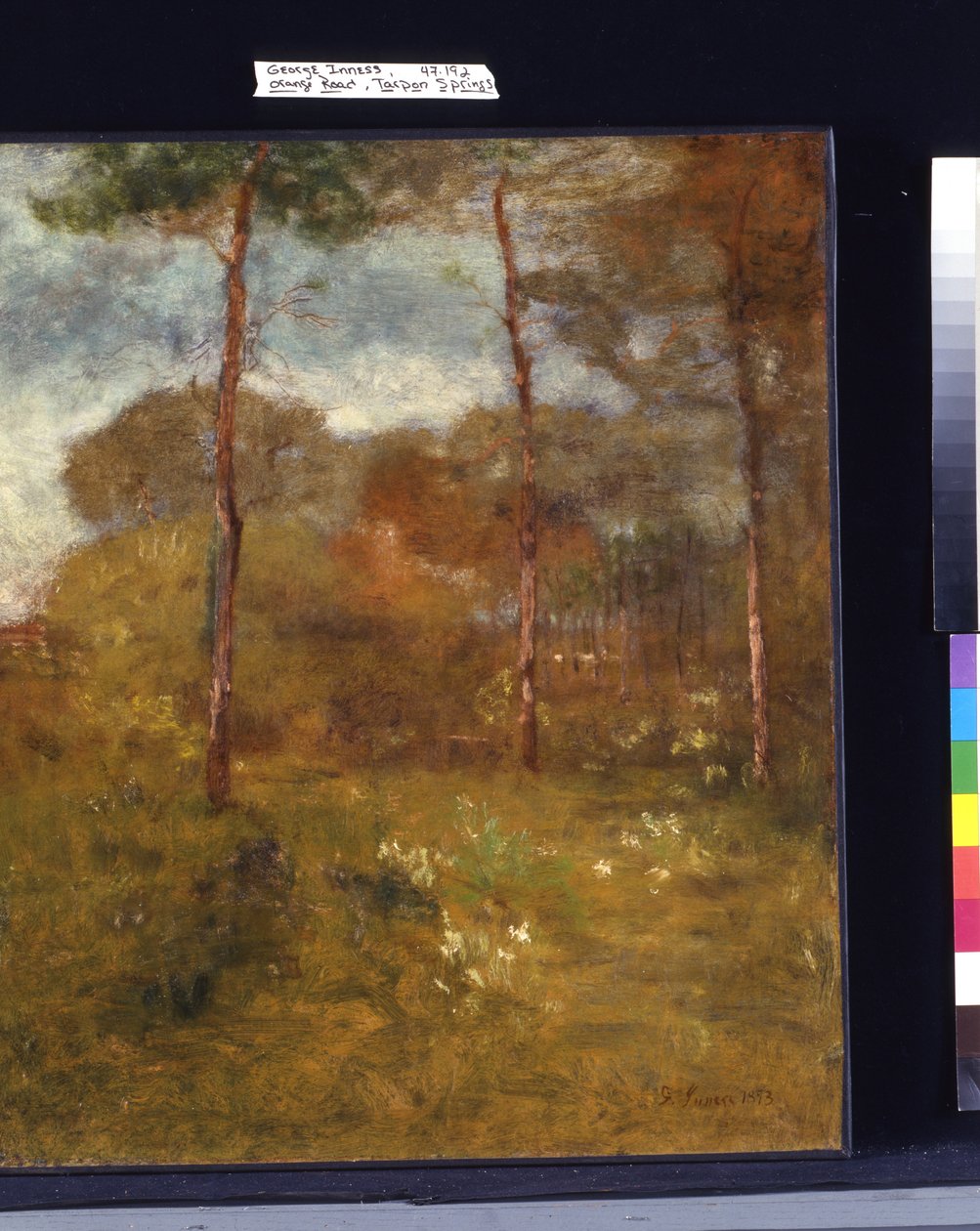 Orange Road, Tarpon Springs von George Snr. Inness