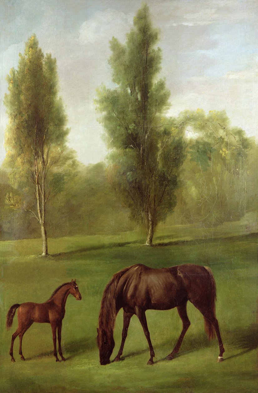 Eine kastanienbraune Stute und Fohlen in einer bewaldeten Landschaft, ca. 1761-63 von George Stubbs