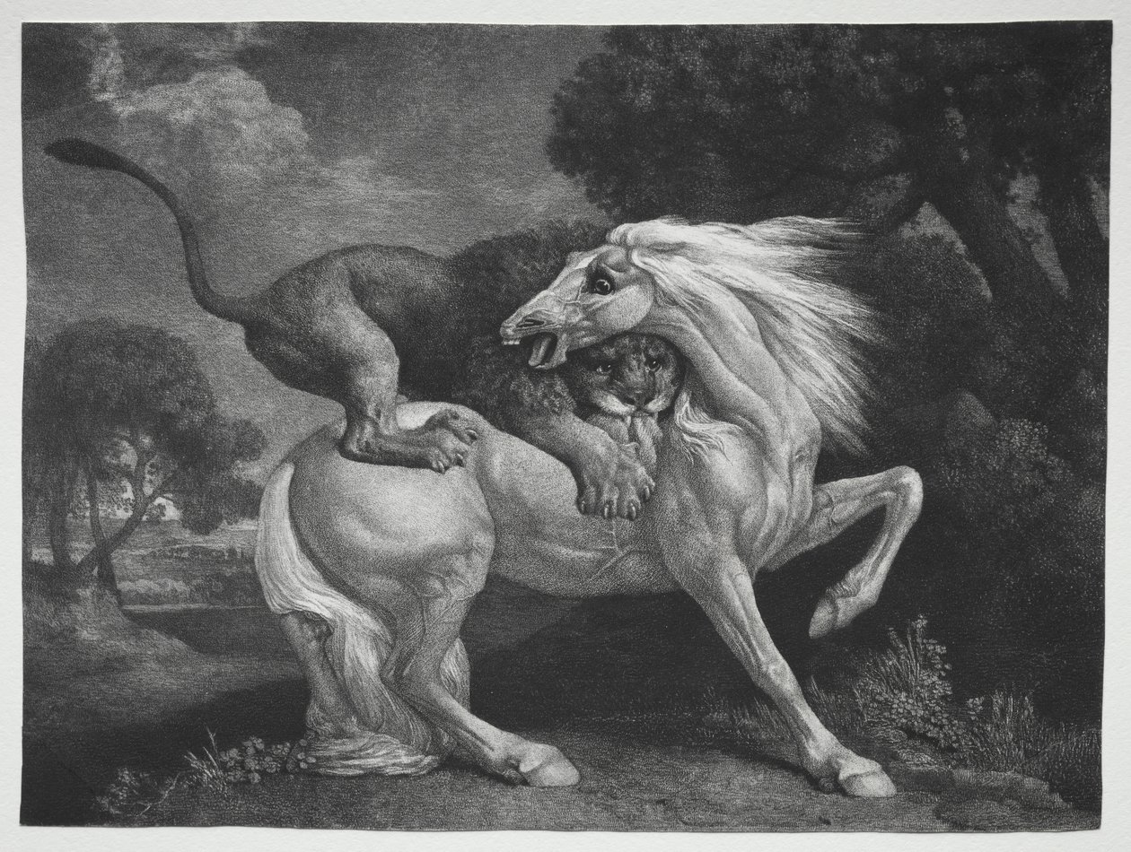 Ein von einem Löwen angegriffenes Pferd von George Stubbs