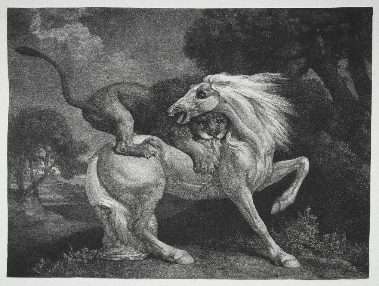 Ein von einem Löwen angegriffenes Pferd, 1788 von George Stubbs