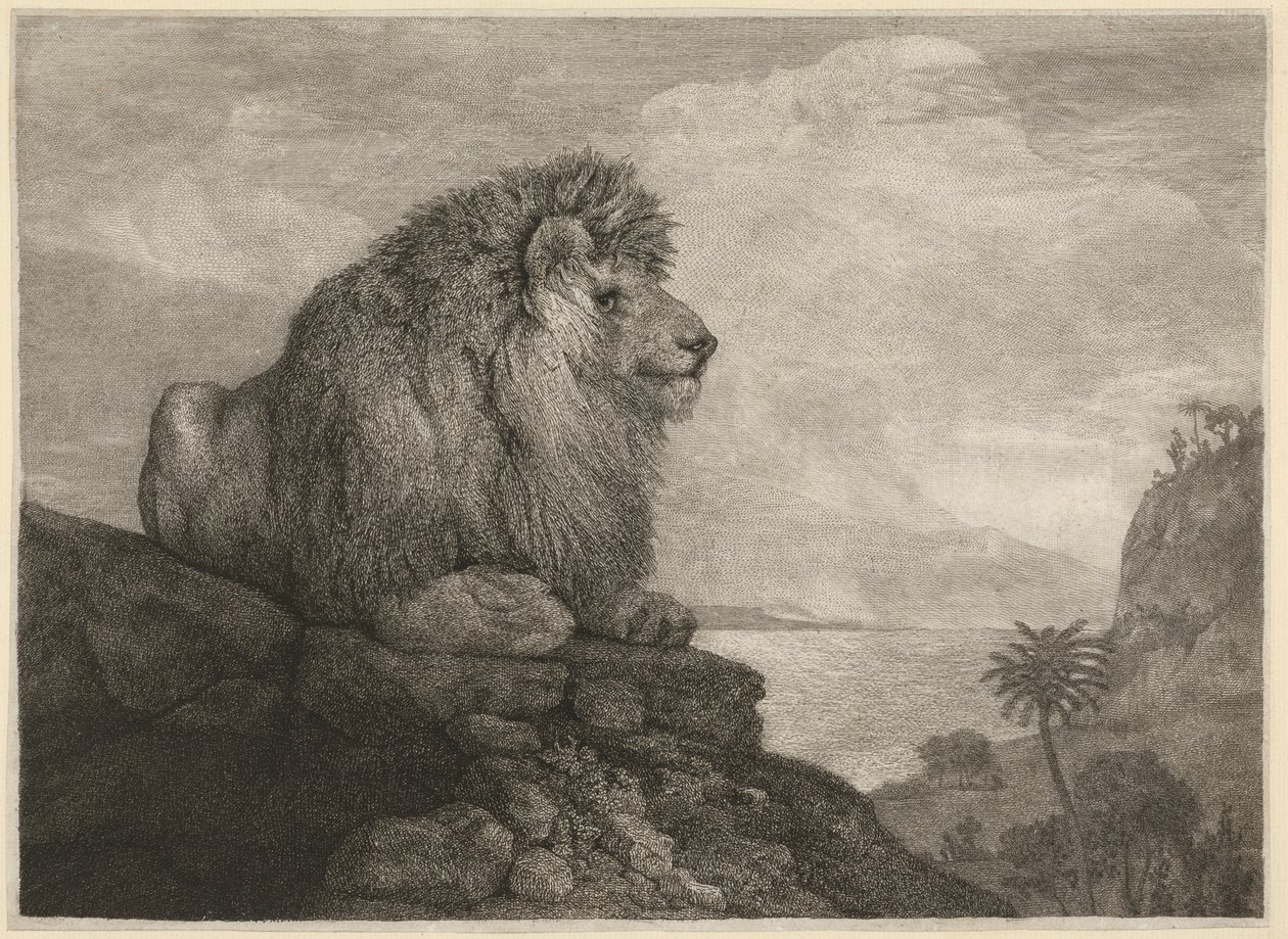 Ein Löwe [Ein Löwe ruht auf einem Felsen] von George Stubbs