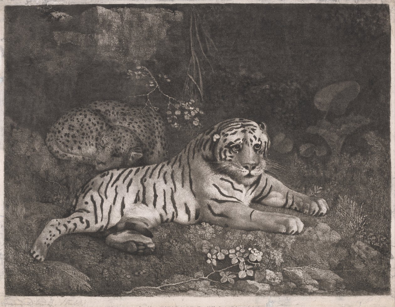 Ein Tiger und ein schlafender Leopard von George Stubbs