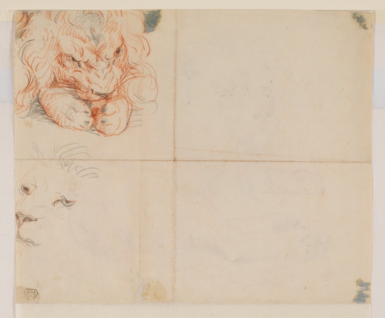 Kopf und Pfoten eines Löwen, verso, 18. oder 19. Jahrhundert von George Stubbs