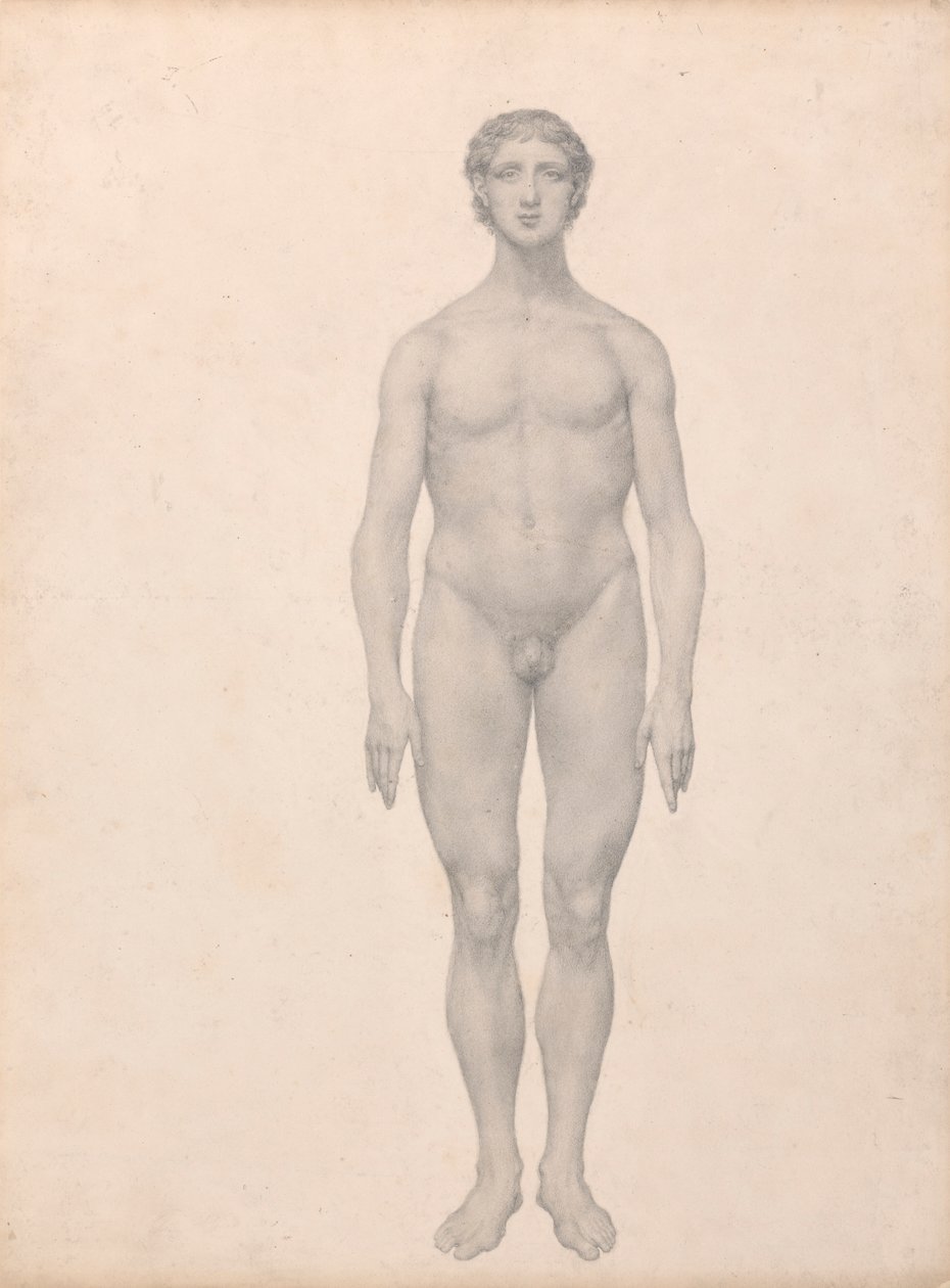 Menschliche Figur, vordere Ansicht, unzerlegt (fertige Studie für Tabelle VI) von George Stubbs