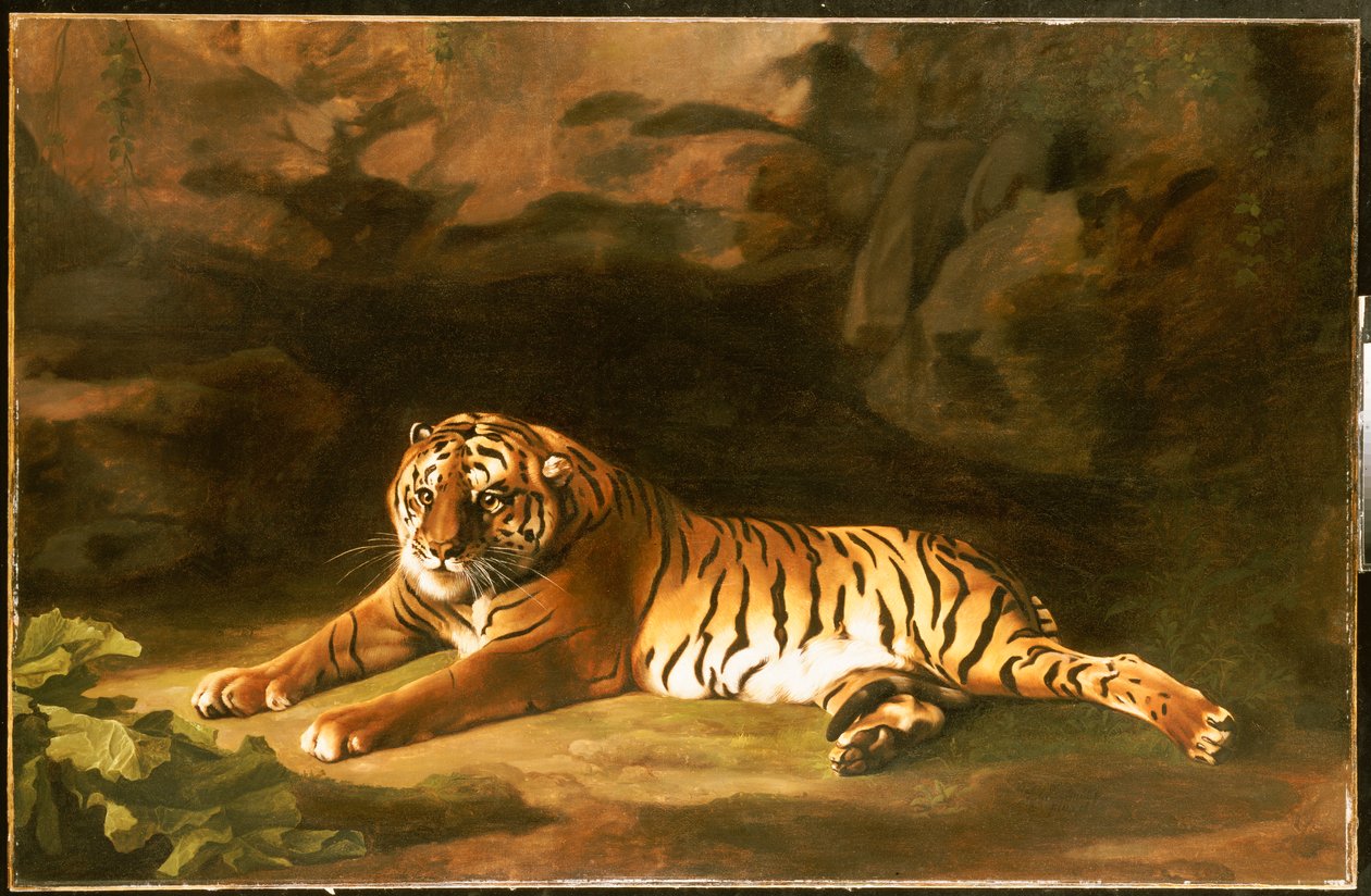 Porträt des Königstigers, ca. 1770 von George Stubbs