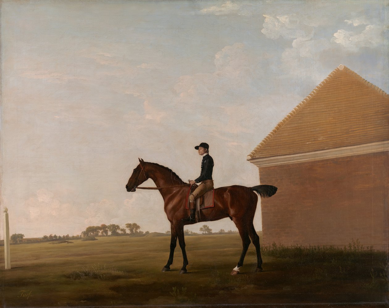 Turf, mit Jockey in Newmarket von George Stubbs