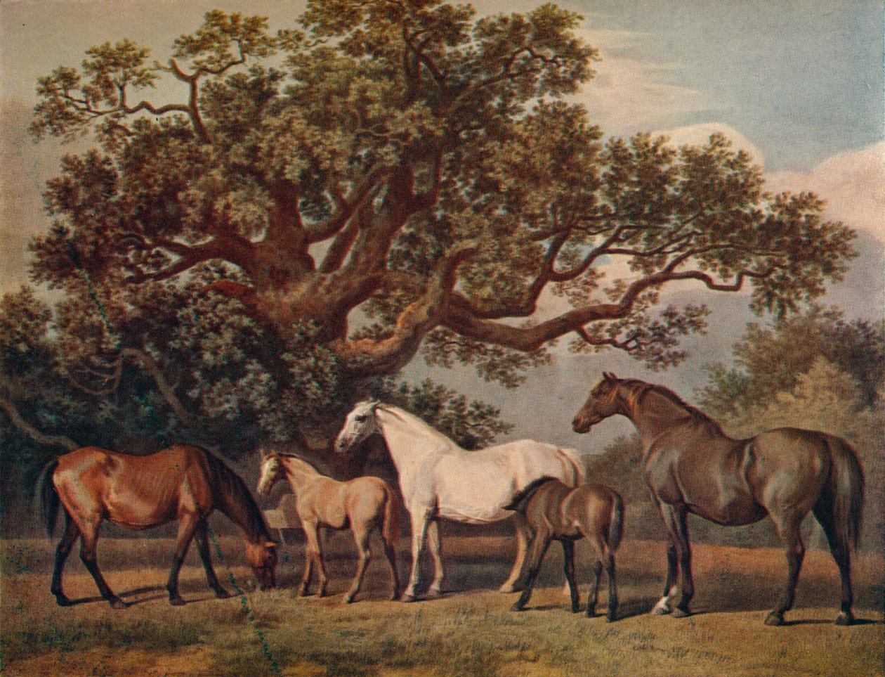 Zuchtstuten und Fohlen von George Townley Stubbs