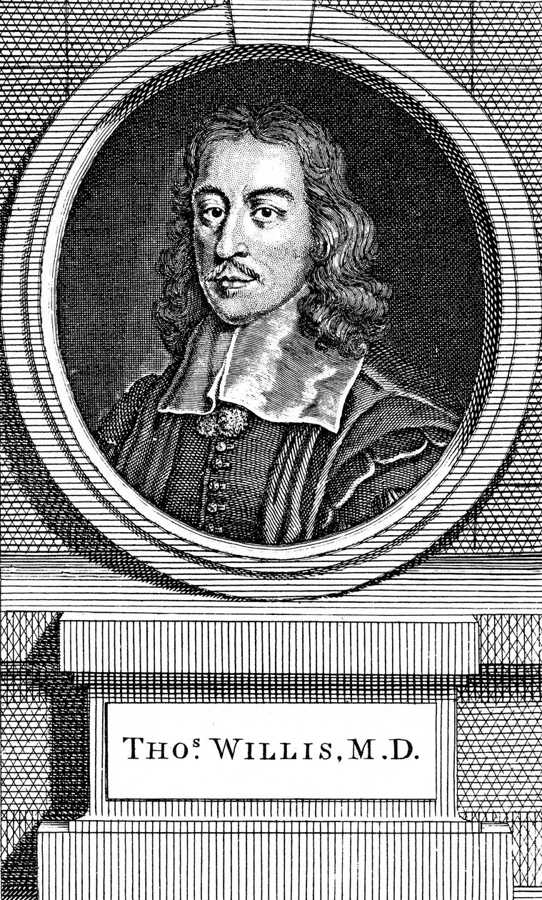 Thomas Willis, englischer Arzt des 17. Jahrhunderts, 1742 von George Vertue
