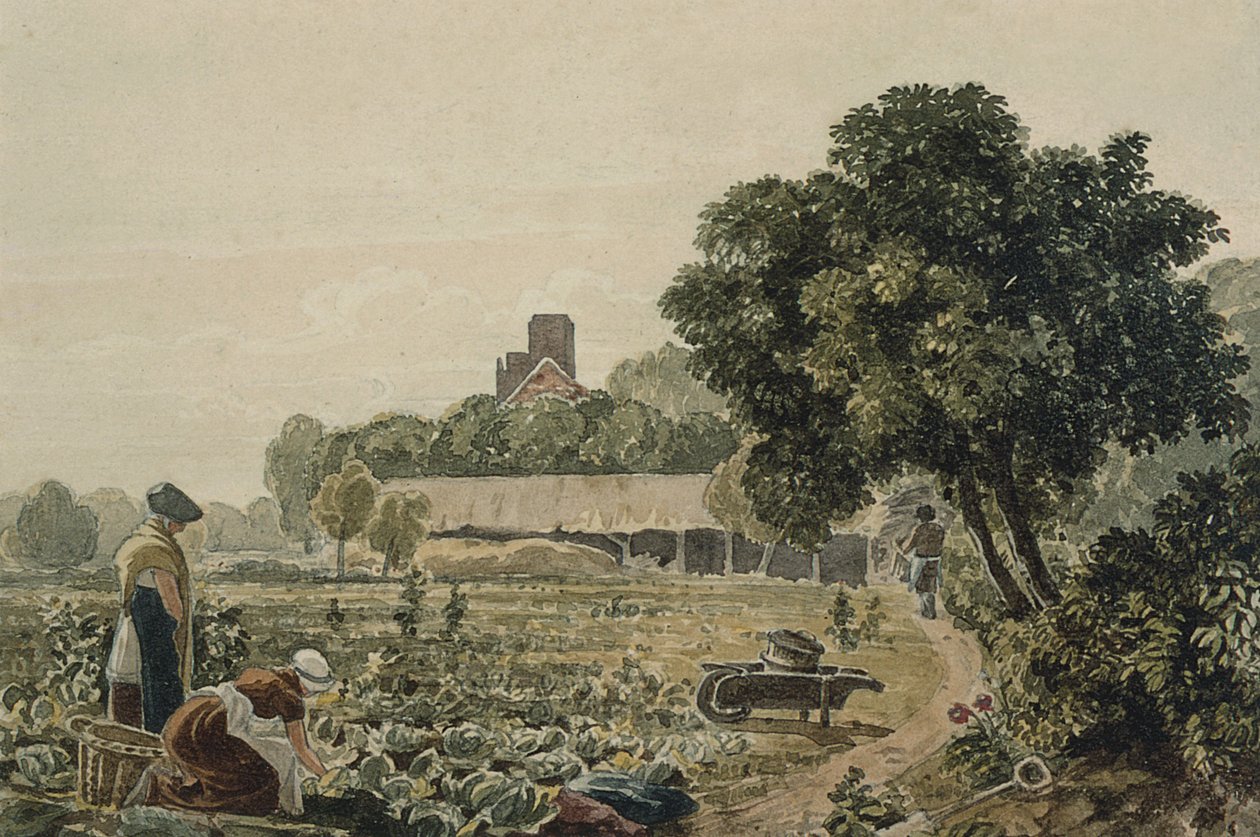 Marktgarten in Chelsea von George the Younger Barret