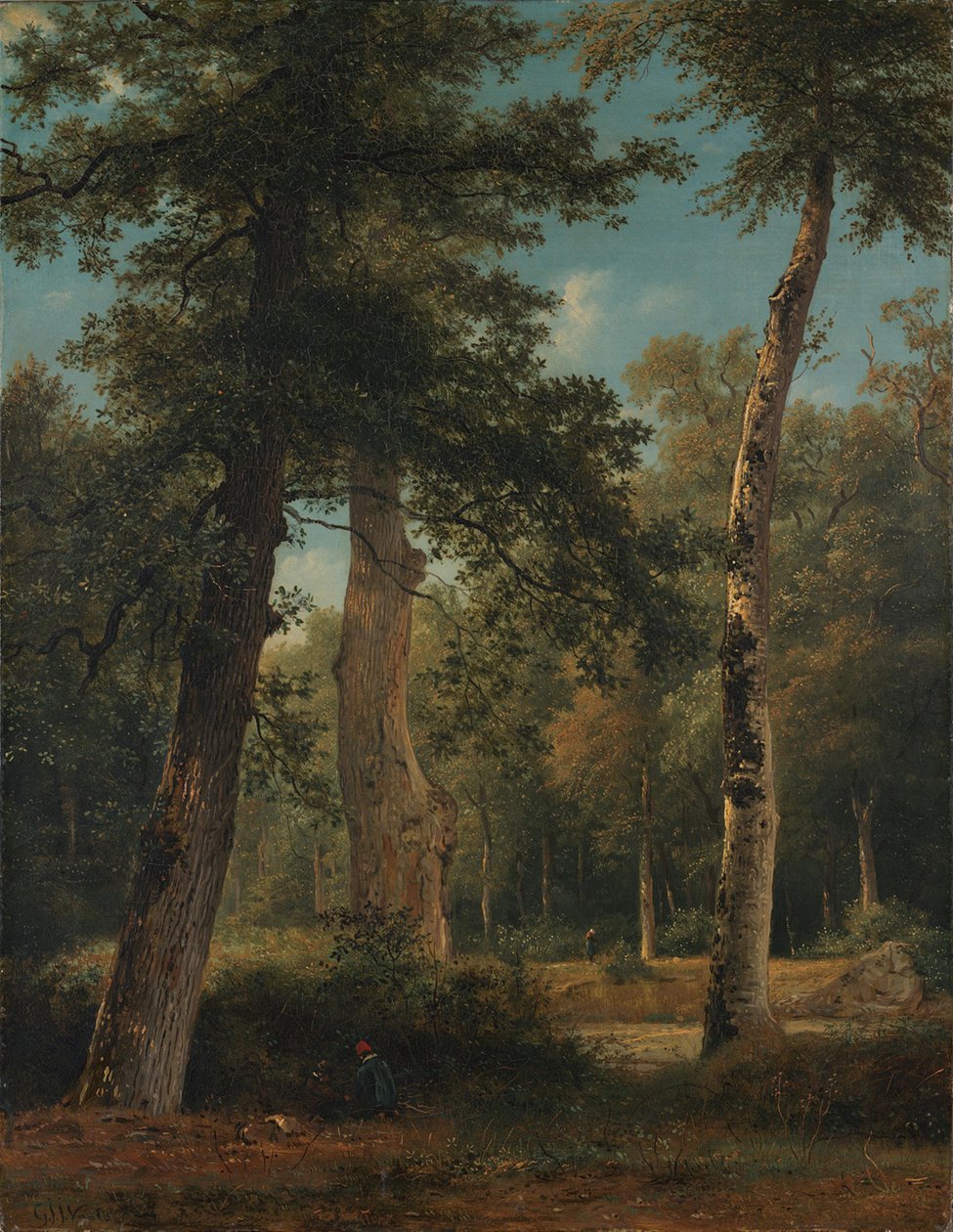 Ein Wald in Fontainebleau von Georgius Jacobus Johannes van Os
