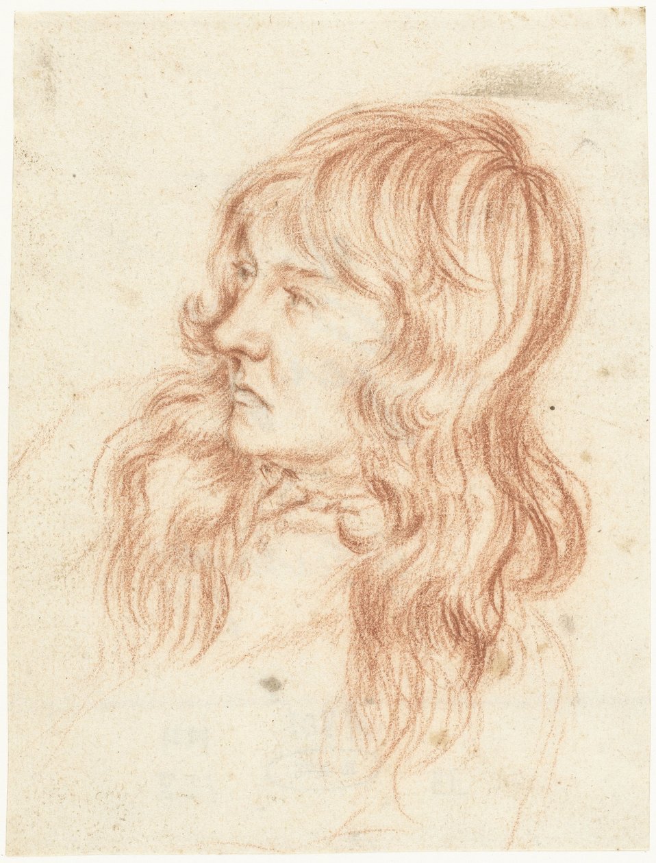 Kopf eines jungen Mannes, nach links von Gerard ter Borch (II)