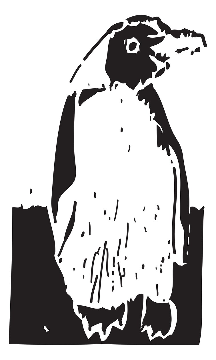 Pinguin von Gerhardt Isringhaus