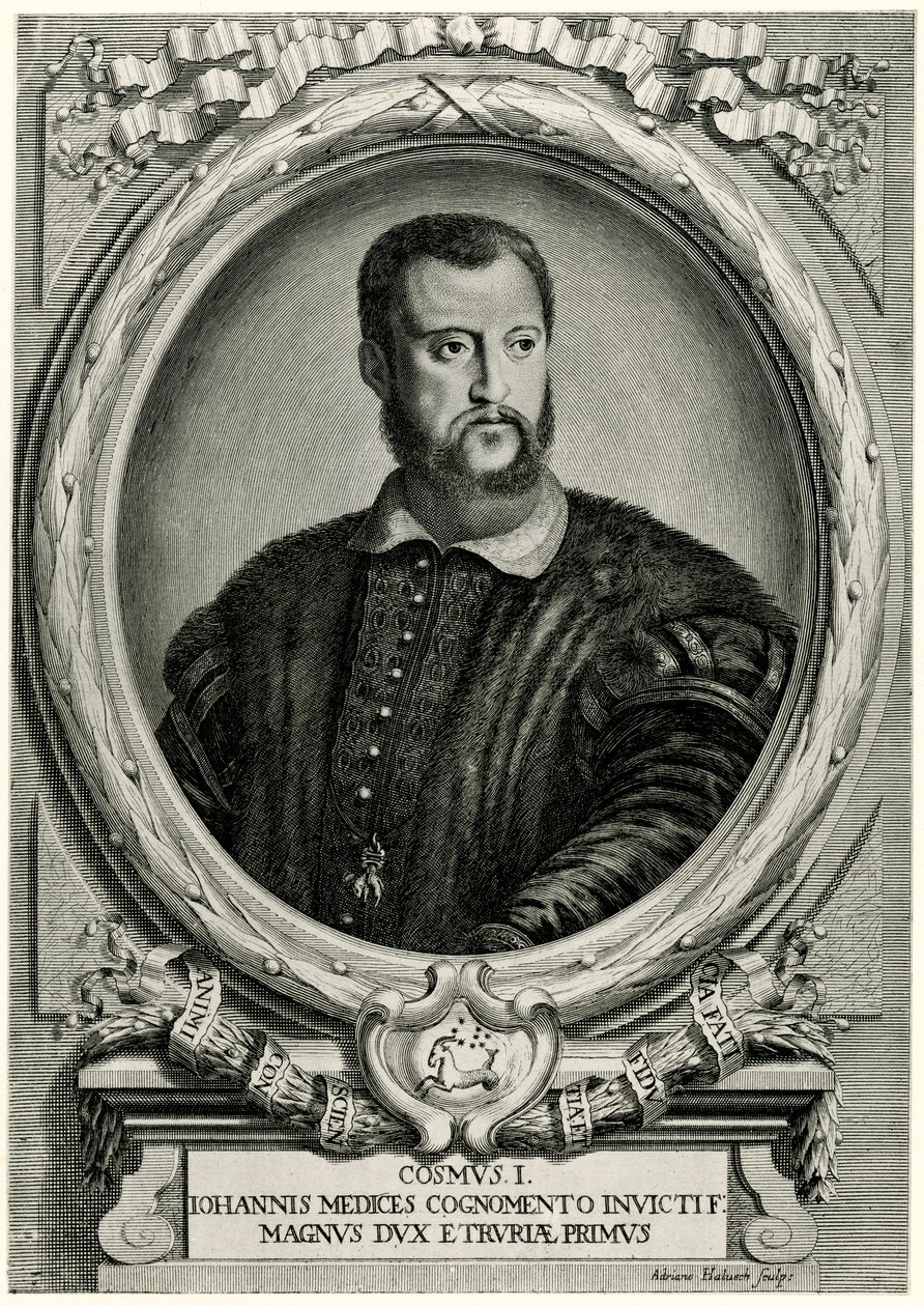 Cosimo I. von German School: Hochwertigste Kunstreproduktion
