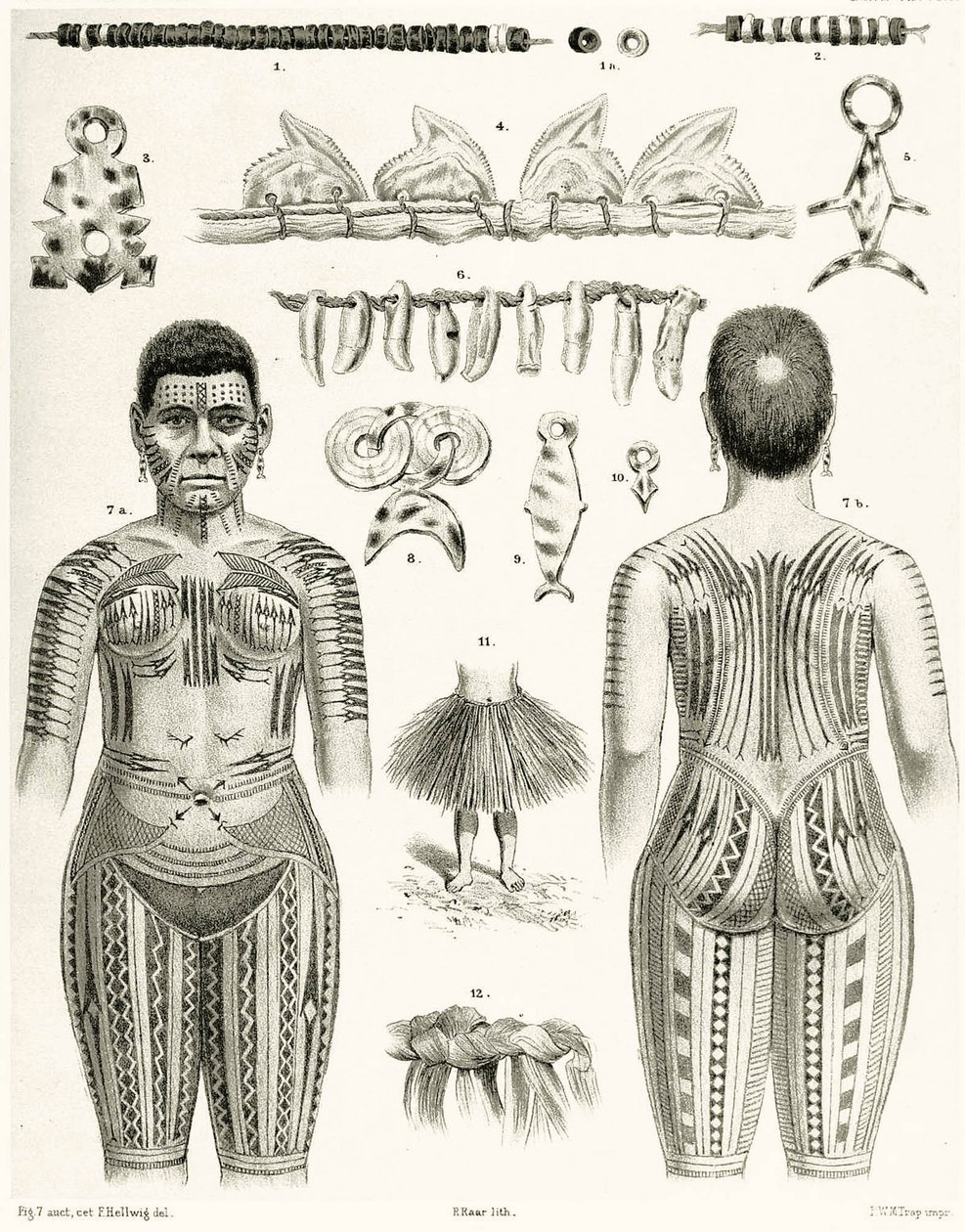 Diagramm von polynesischem Schmuck, Ornamenten und Tätowierungen, 1888 von German School