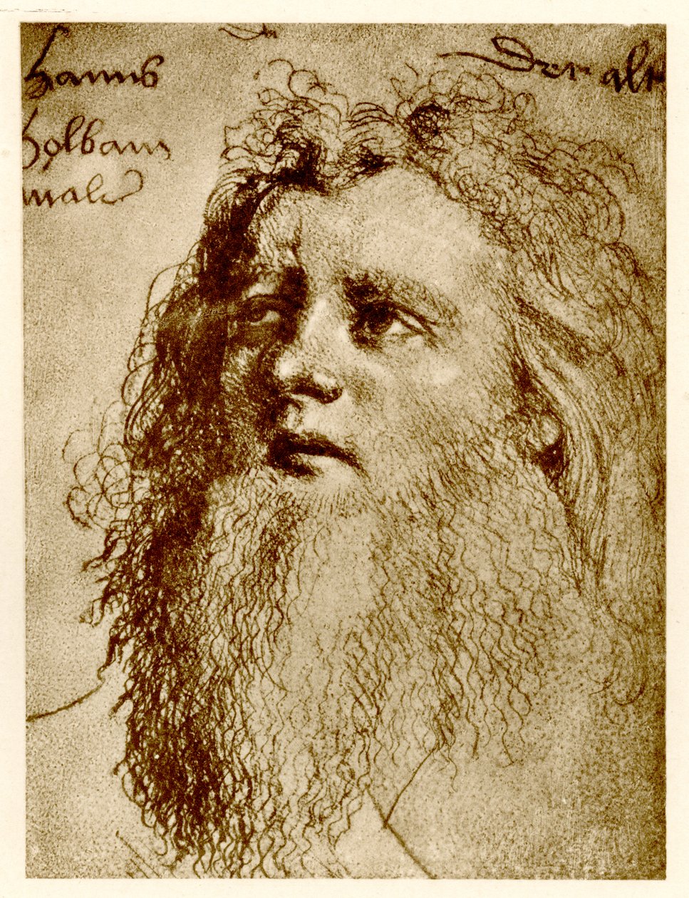 Hans Holbein der Ältere von German School
