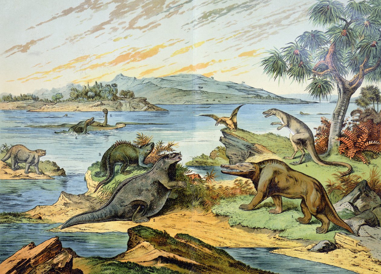 Landschaft, die die Kreidezeit darstellt, Illustration aus Naturgeschichte der Mineralogie und Paläontologie von G.H. von Schubert, 1888 von German School