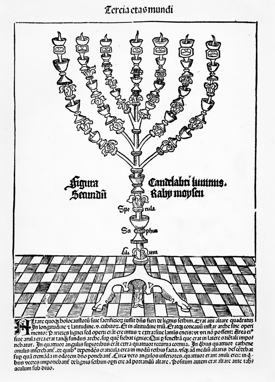 Menora, aus Liber Chronicarum von Hartmann Schedel, veröffentlicht in Nürnberg, 1493 von German School