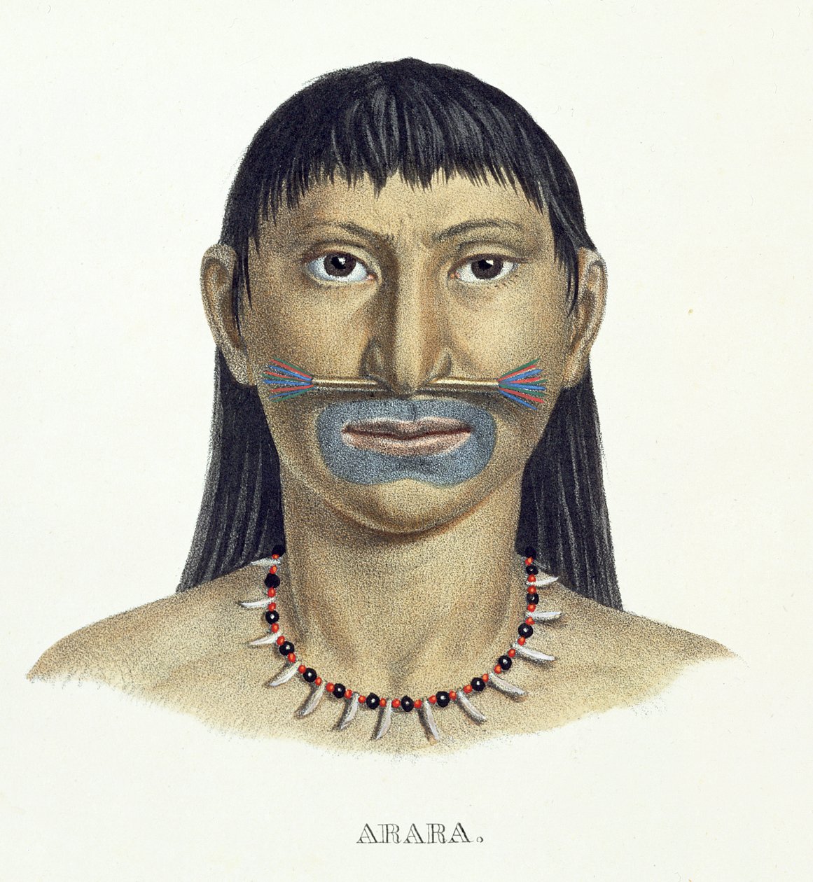 Einheimischer Mann des Arara-Stammes mit blauer Gesichtsbemalung, aus Atlas einer Reise in Brasilien von Johann Baptist von Spix (1781-1826) und Karl Friedrich Philipp Martius (1794-1868), veröffentlicht ca. 1835-50 von German School