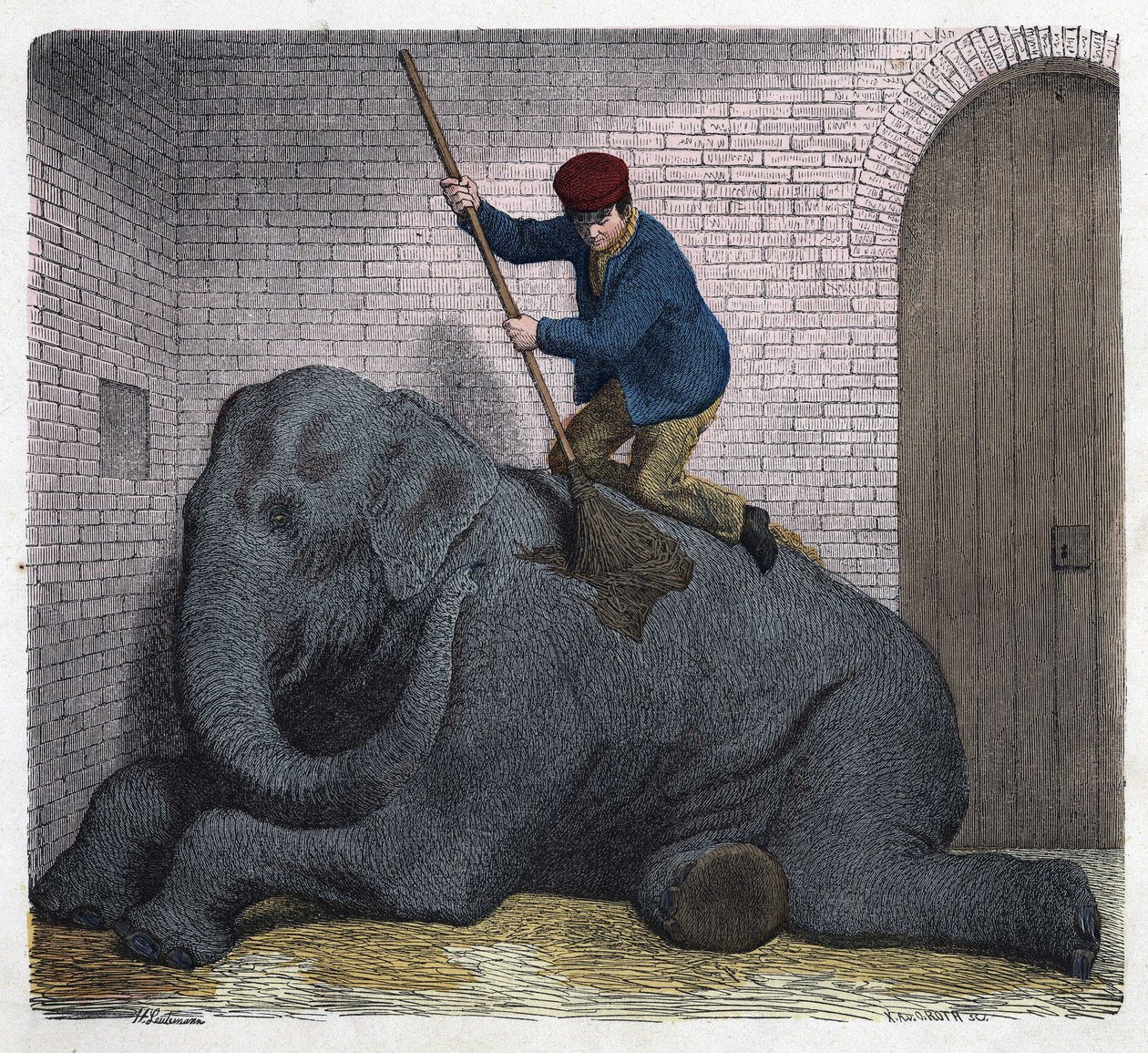 Die Morgentoilette des Elefanten Lilli. In „Wenn Jemand eine Reise tut, so kann er was erzählen“, deutsches Märchen von Franz Wiedemann. von German School