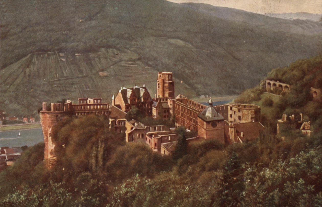 Blick auf das Heidelberger Schloss von der Molkenkur von German School