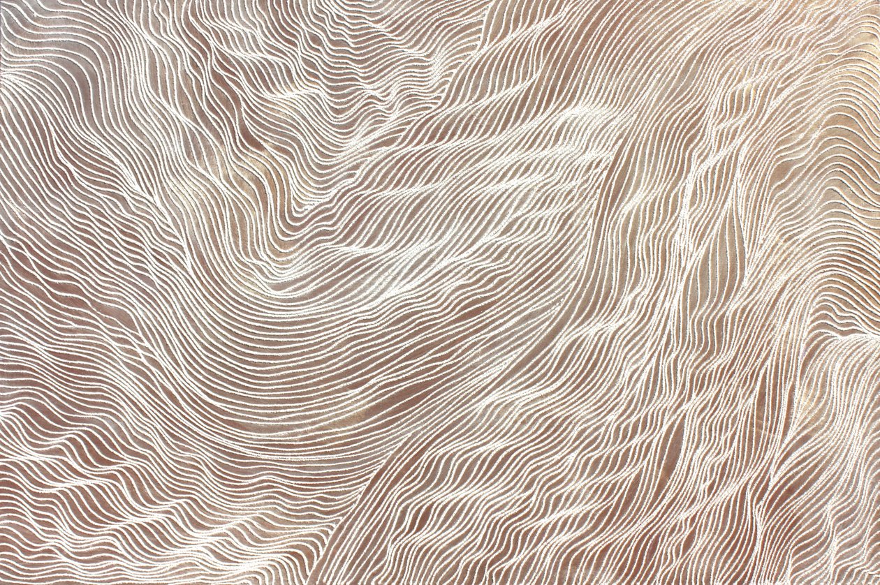 Reise 298, 2010 von Gerrit Greve