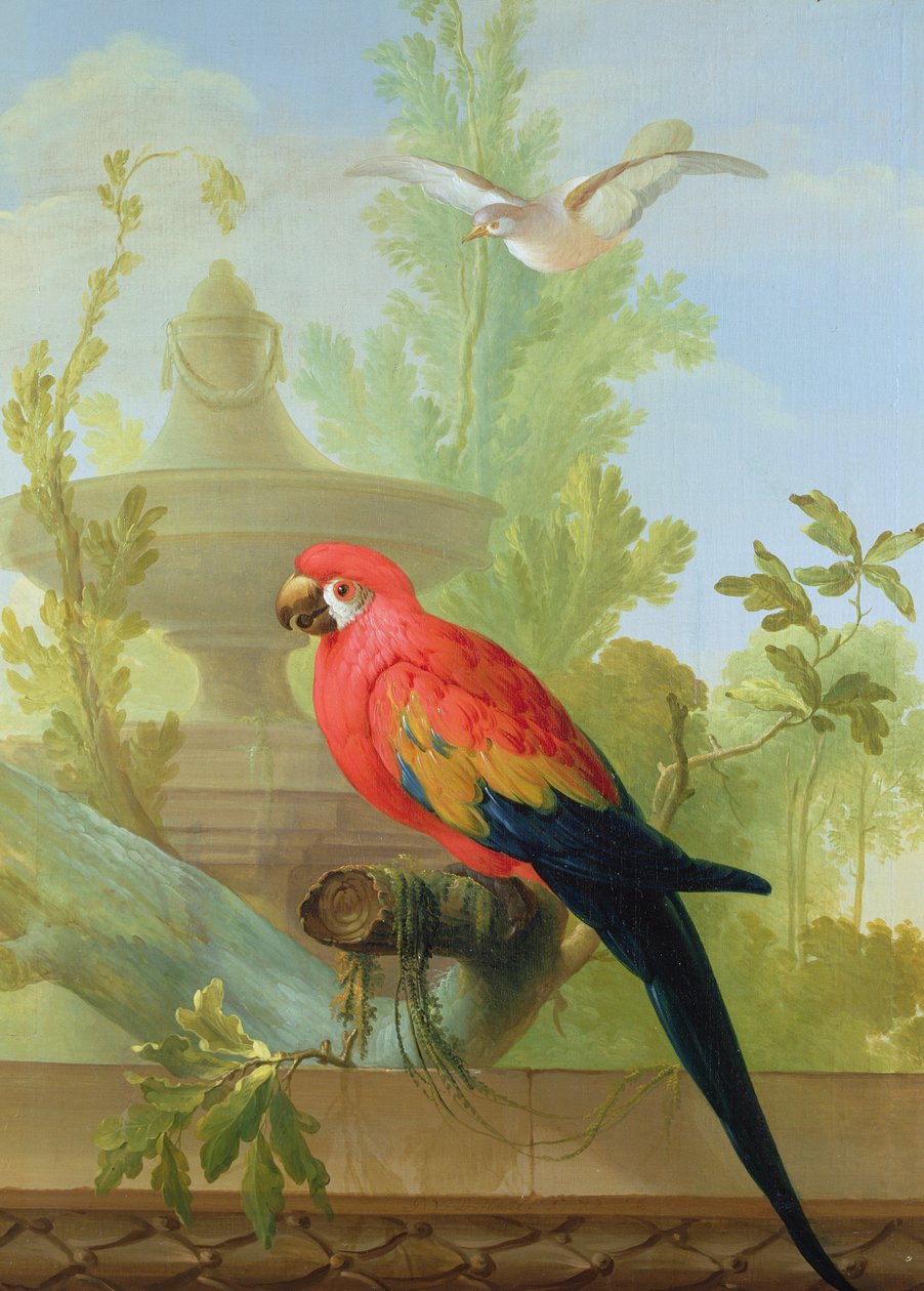 Ein Ara und eine Taube in einem ornamentalen Garten, 1772 von Gerrit van den Heuvel