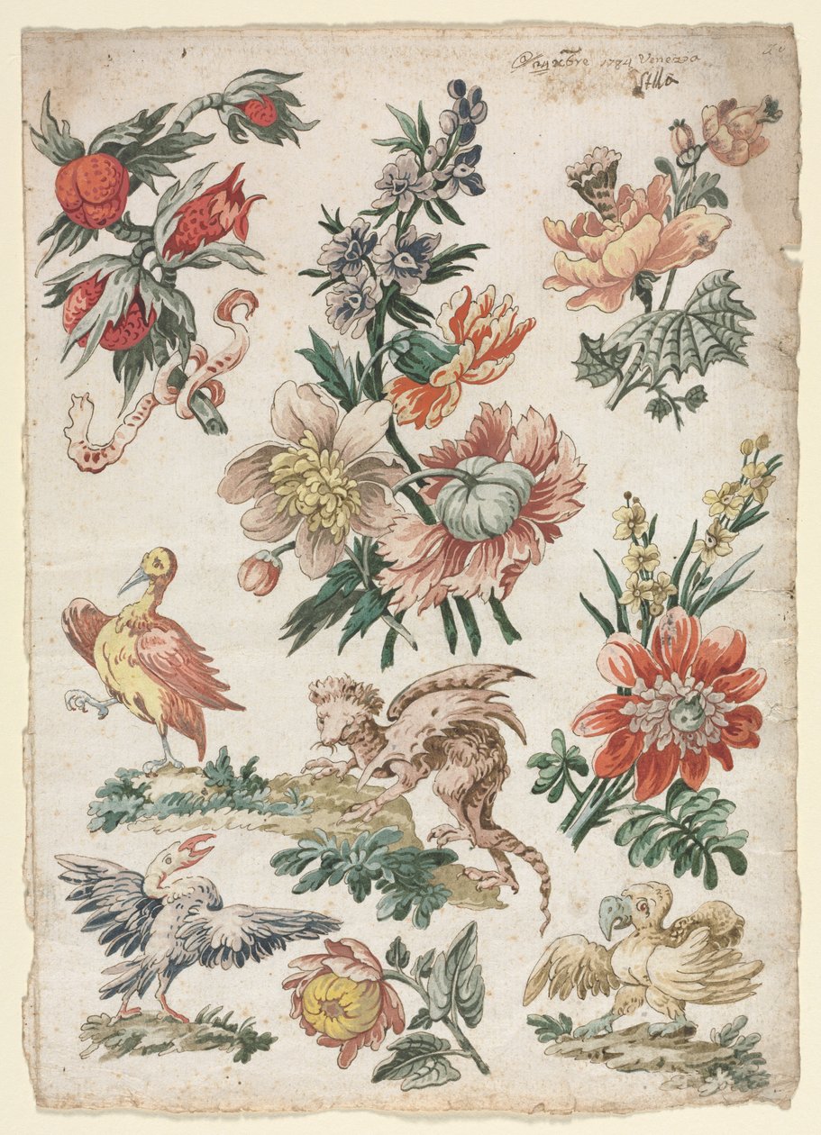 Florale Designs mit Vögeln und Greif von Giacomo Cavenezia