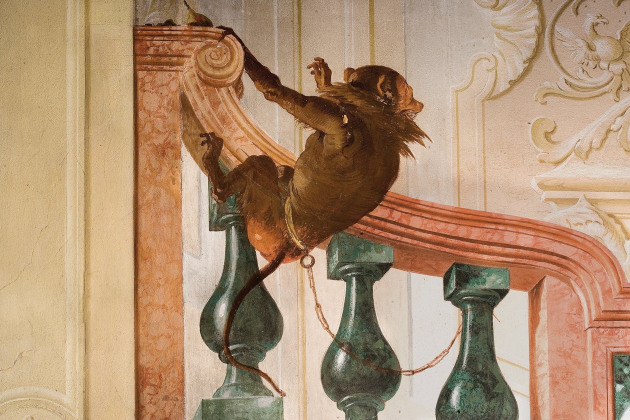 Detail eines Affen, aus dem Raum der Karnevalsszenen in der Foresteria von Giovanni Domenico Tiepolo