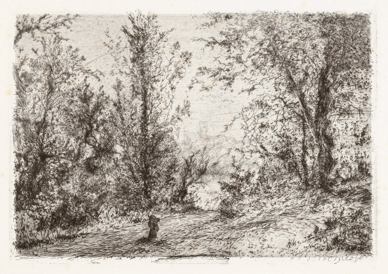 Wald am Lago Maggiore [Foresta sul lago Maggiore] von Giberto Borromeo
