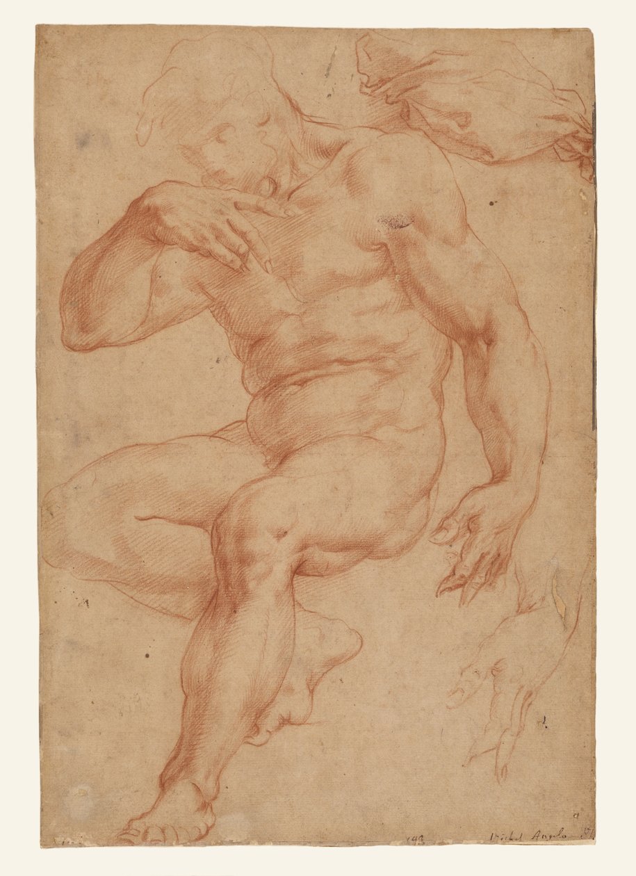 Studien eines männlichen Aktes, eines Gewandes und einer Hand von Giorgio Vasari