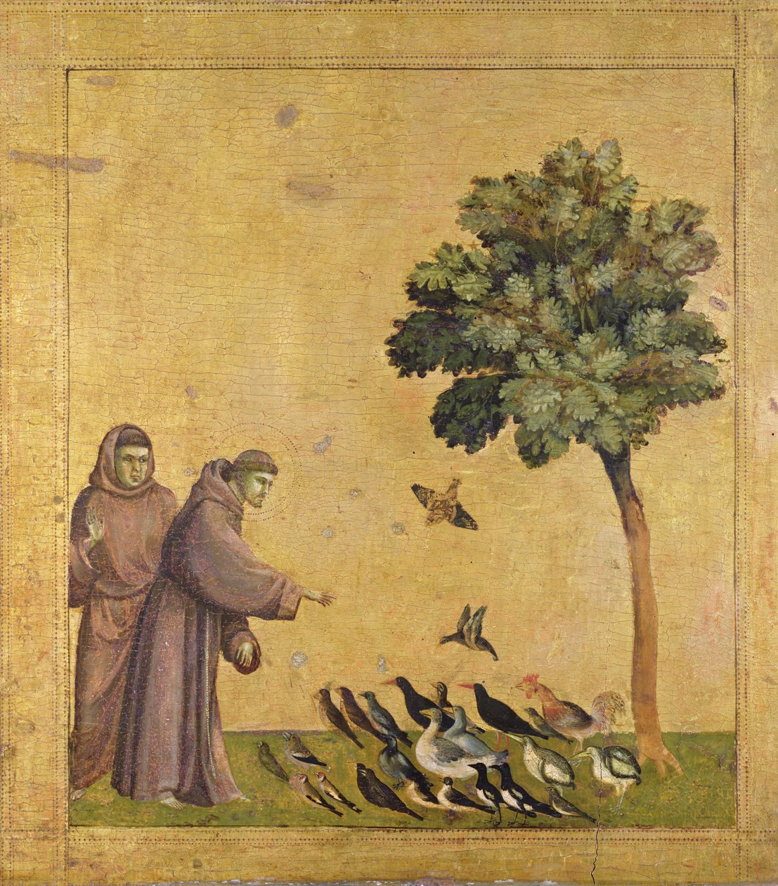 Der heilige Franz von Assisi predigt den Vögeln von Giotto (c.1266 1337)