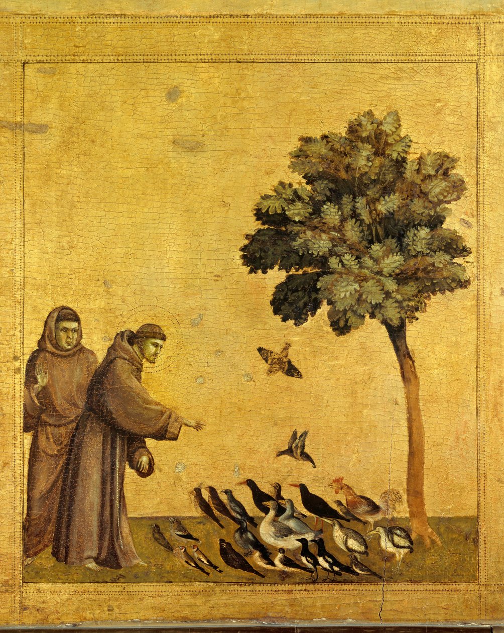 Heiliger Franz von Assisi predigt den Vögeln. Detail der Predella von St. Franziskus von Assisi, der die Stigmata empfängt. Gemälde von Giotto Di Bondone von Giotto di Bondone
