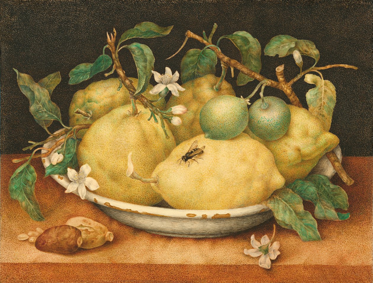 Stillleben mit Schale von Zitronen von Giovanna Garzoni